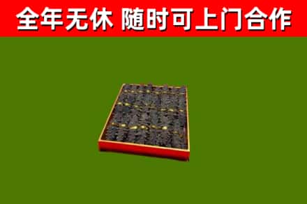连云港回收海参